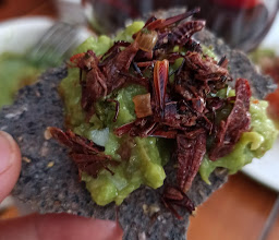 Terraza Cha Cha Chá photo