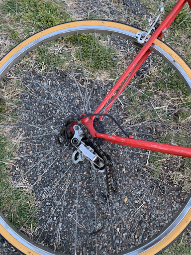 Bicycle Store «College Park Bicycles», reviews and photos, 7301 Baltimore Ave, College Park, MD 20740, USA