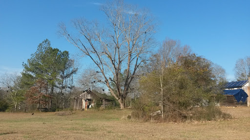 State Park «Panola Mountain State Park», reviews and photos, 2620 GA-155 N, Stockbridge, GA 30281, USA