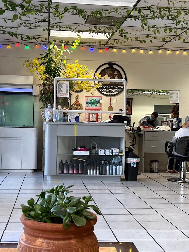 Ann's Salon 33704
