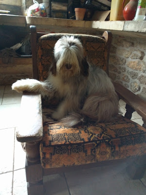 Le Serpoul à Cabrerets