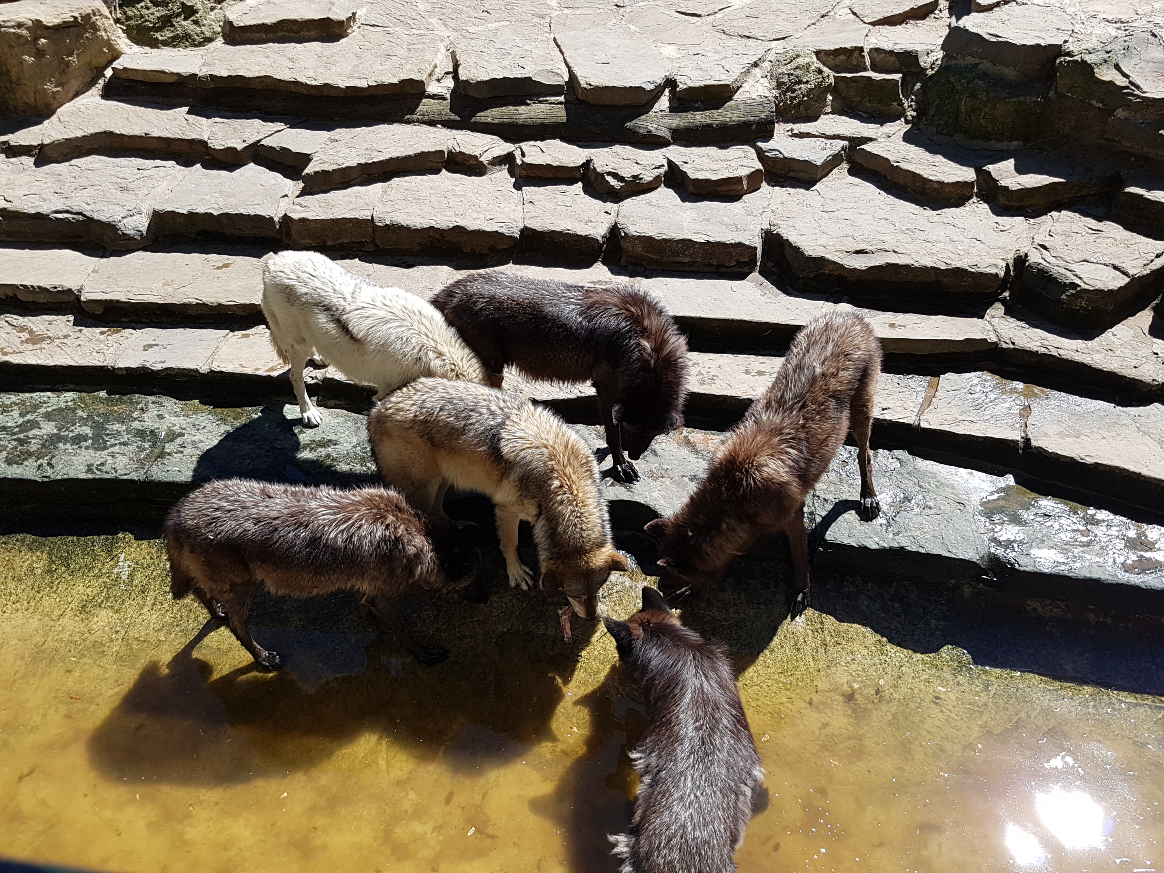 Photo n° 19 de l'avis de Karine.i fait le 19/05/2019 à 10:23