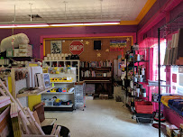 Starlandia Art Supply - Photo 5 - Car repair in Savannah, GA, Savannah