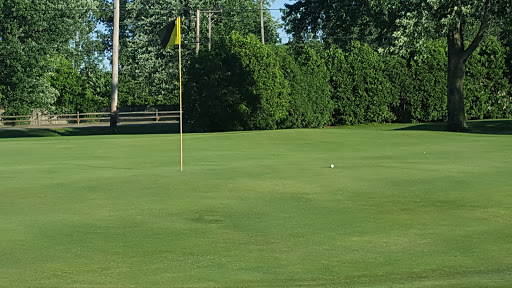 Golf Course «Dundee Golf Club», reviews and photos, 13851 S Custer Rd, Dundee, MI 48131, USA