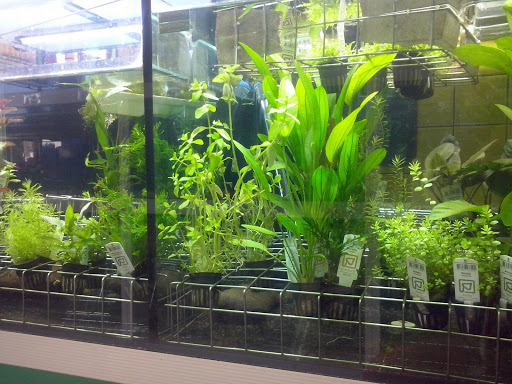 Mundi Fauna Logroño