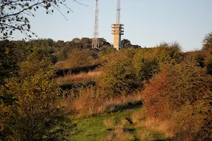Rowley Hills image