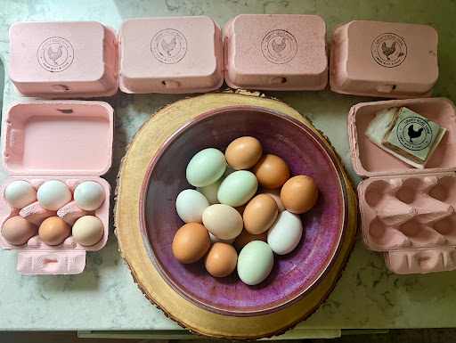 Home Improvement Store «Tractor Supply Co.», reviews and photos, 293 US-206 #15A, Flanders, NJ 07836, USA