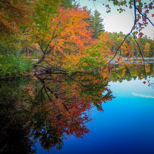 State Park «Lowell-Dracut-Tyngsborough State Forest», reviews and photos, Trotting Park Rd, Dracut, MA 01826, USA