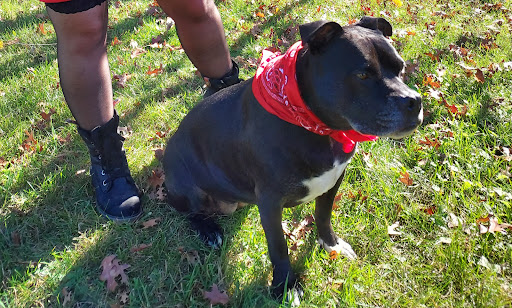 Pet Supply Store «The Animal House», reviews and photos, 24463 Hazelwood Dr, Nisswa, MN 56468, USA