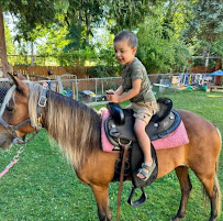 Wee Kids Childcare - Photo 8 - Car repair in Everett, WA, Marysville