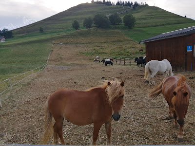 Le kavalkada à Albiez-Montrond