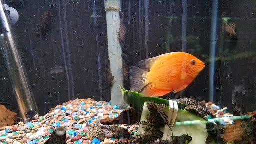 Pet Store «Family Pet Center», reviews and photos, 11916 NE Halsey St, Portland, OR 97220, USA