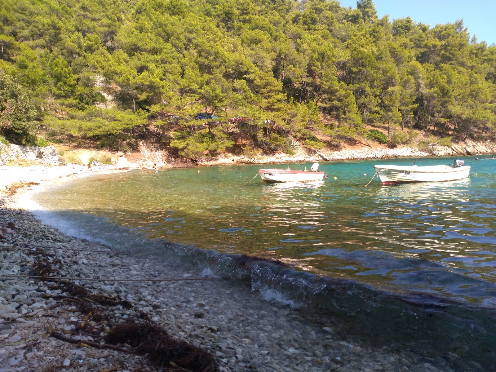 Velika Uvala beach的照片 带有碧绿色纯水表面