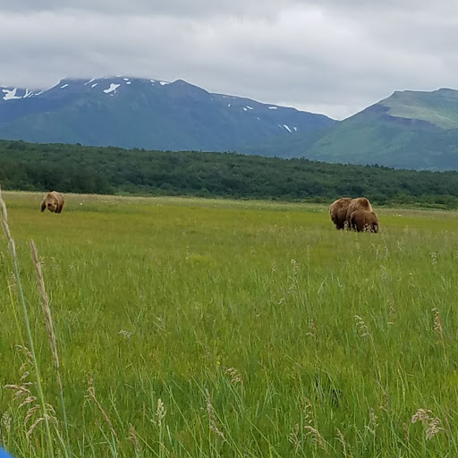National Park «Katmai National Park and Preserve», reviews and photos