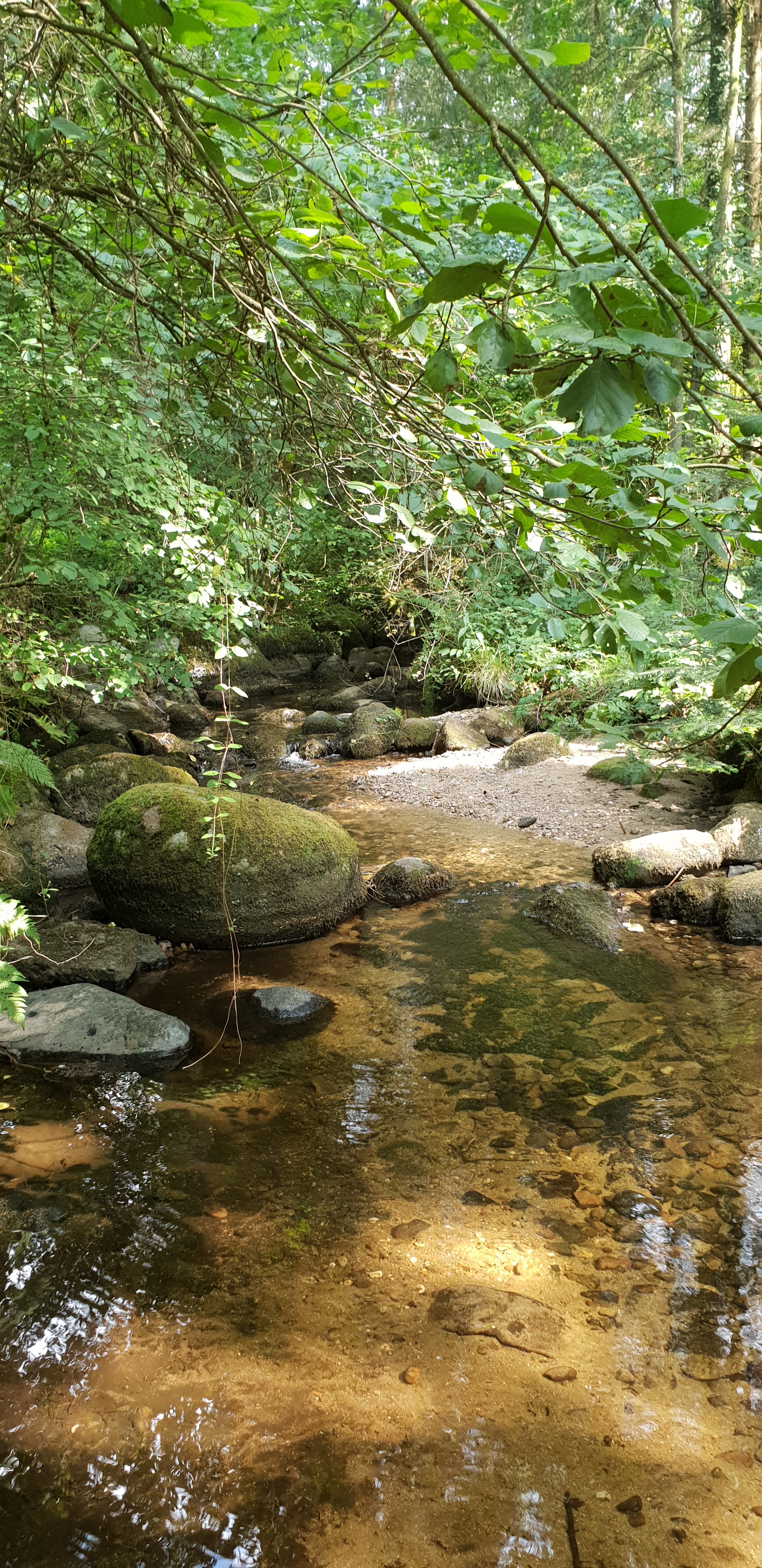 Photo n° 3 de l'avis de Rodolphe.r fait le 30/08/2018 à 07:26