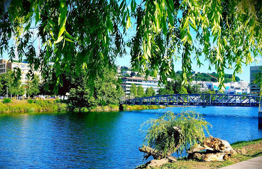Park «Lake Union Park», reviews and photos, 860 Terry Ave N, Seattle, WA 98109, USA