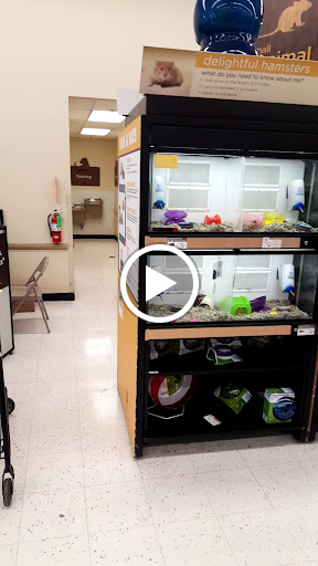 Pet Supply Store «Petco Animal Supplies», reviews and photos, 6418 S Staples St b, Corpus Christi, TX 78413, USA
