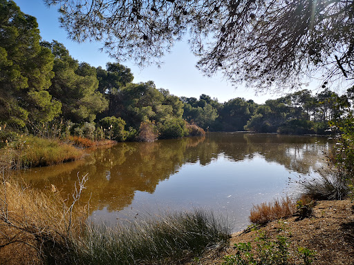Parque Natural de la Albufera Valencia