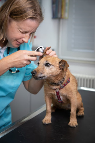 Rezensionen über Tierklinik Leimental in Biel - Tierarzt