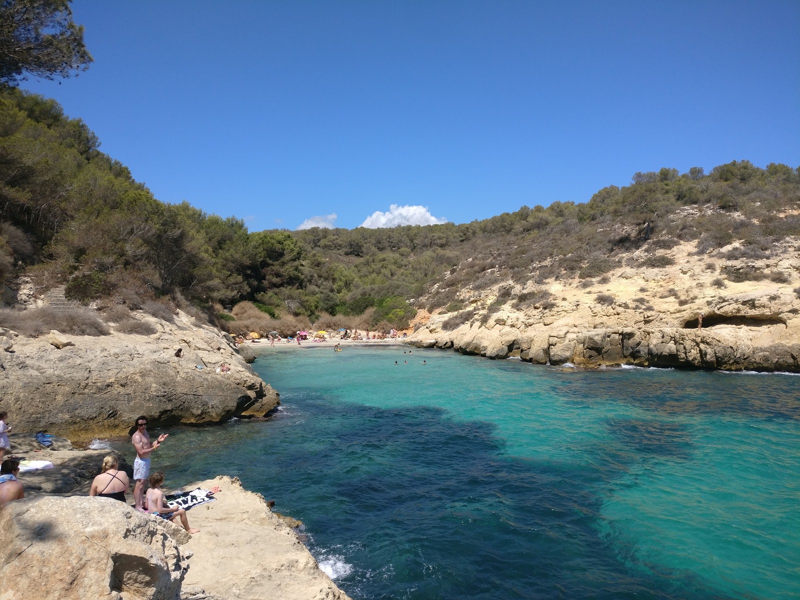 Cala Bella Dona的照片 带有微海湾