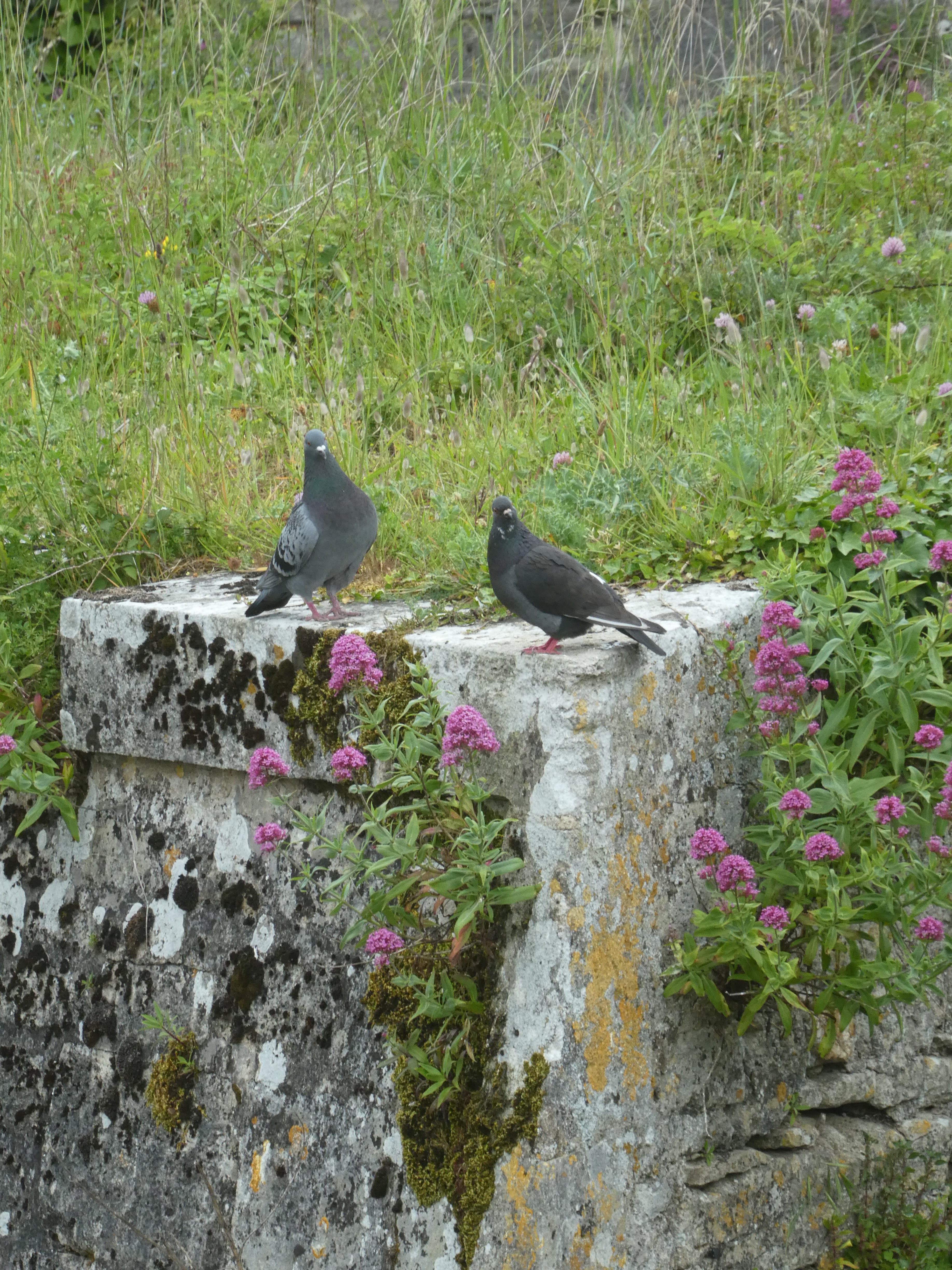 Photo n° 21 de l'avis de Céline.O fait le 13/05/2024 à 19:22