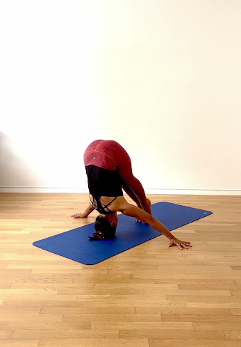 Rezensionen über Yoga Sansaar in Zug - Yoga-Studio