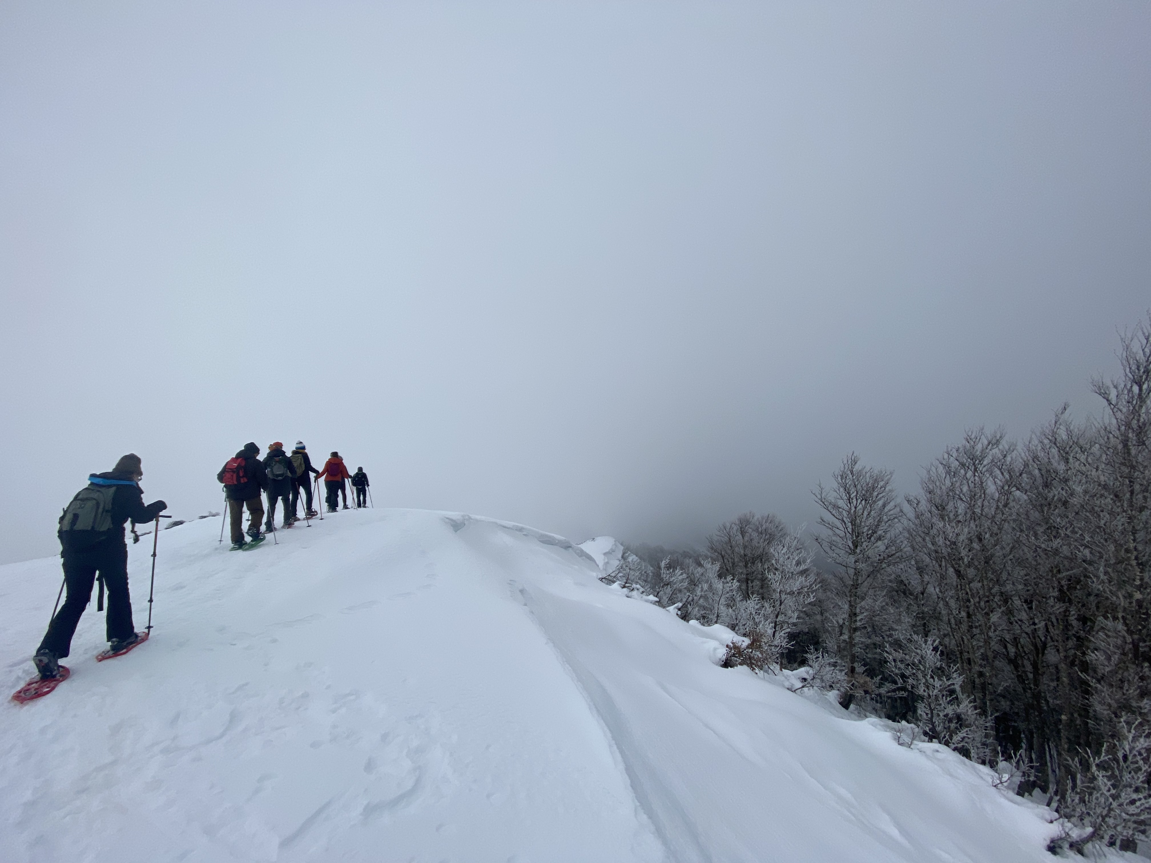 Photo n° 3 de l'avis de Du.r fait le 12/02/2023 à 14:42