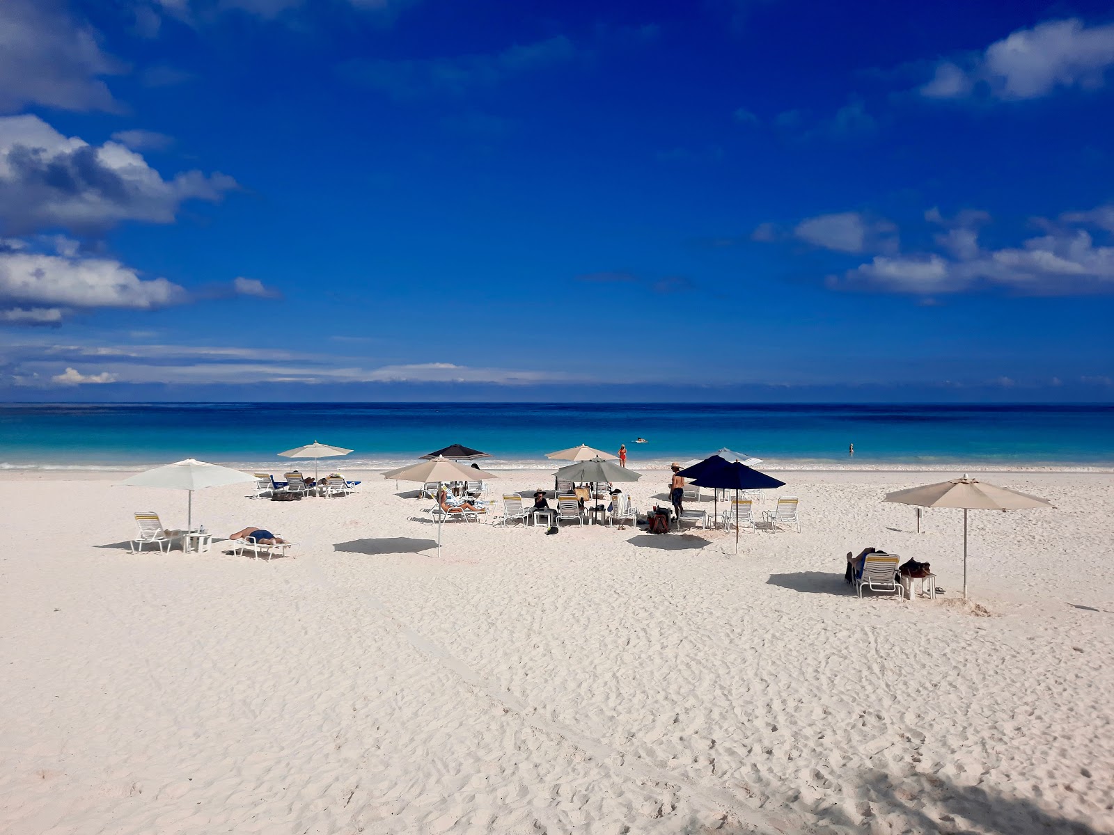 Pink sands beach photo #7