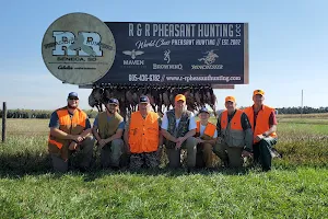 R & R Pheasant Hunting image