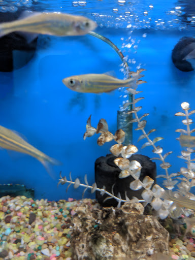 Tropical Fish Store «Caribbean Pets», reviews and photos, 298 Central Ave, Jersey City, NJ 07307, USA