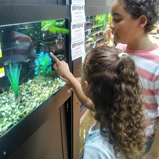 Pet Store «Petland», reviews and photos, 1600 Turner McCall Blvd, Rome, GA 30161, USA