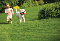 Tick Ranger - Photo 3 - Car repair in , Bridgeport