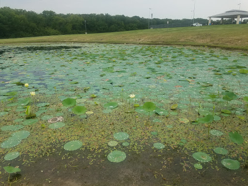 Park «Town Center Park», reviews and photos, 356 E Tripp Rd, Sunnyvale, TX 75182, USA