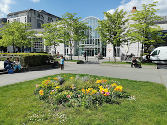 Medizinische Klinik mit Schwerpunkt Hämatologie, Onkologie und Tumorimmunologie | Charité Campus Virchow-Klinikum