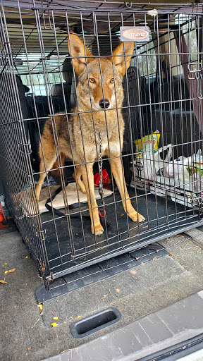 Supermarket «Price Less Foods», reviews and photos, 1328 S John B Dennis Hwy, Kingsport, TN 37660, USA