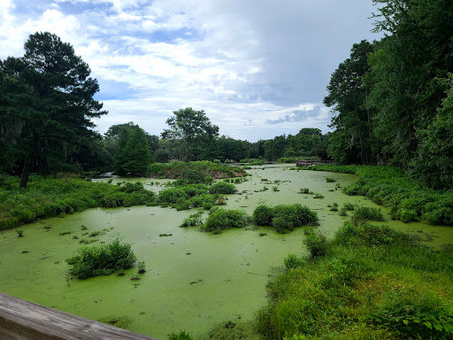 Park «Cypress Wetlands», reviews and photos, 1700 Paris Ave, Port Royal, SC 29935, USA