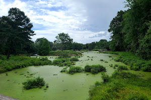 Cypress Wetlands