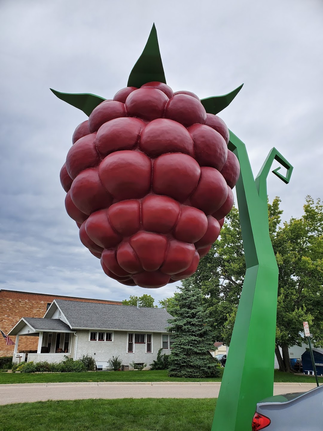 The Worlds largest Raspberry