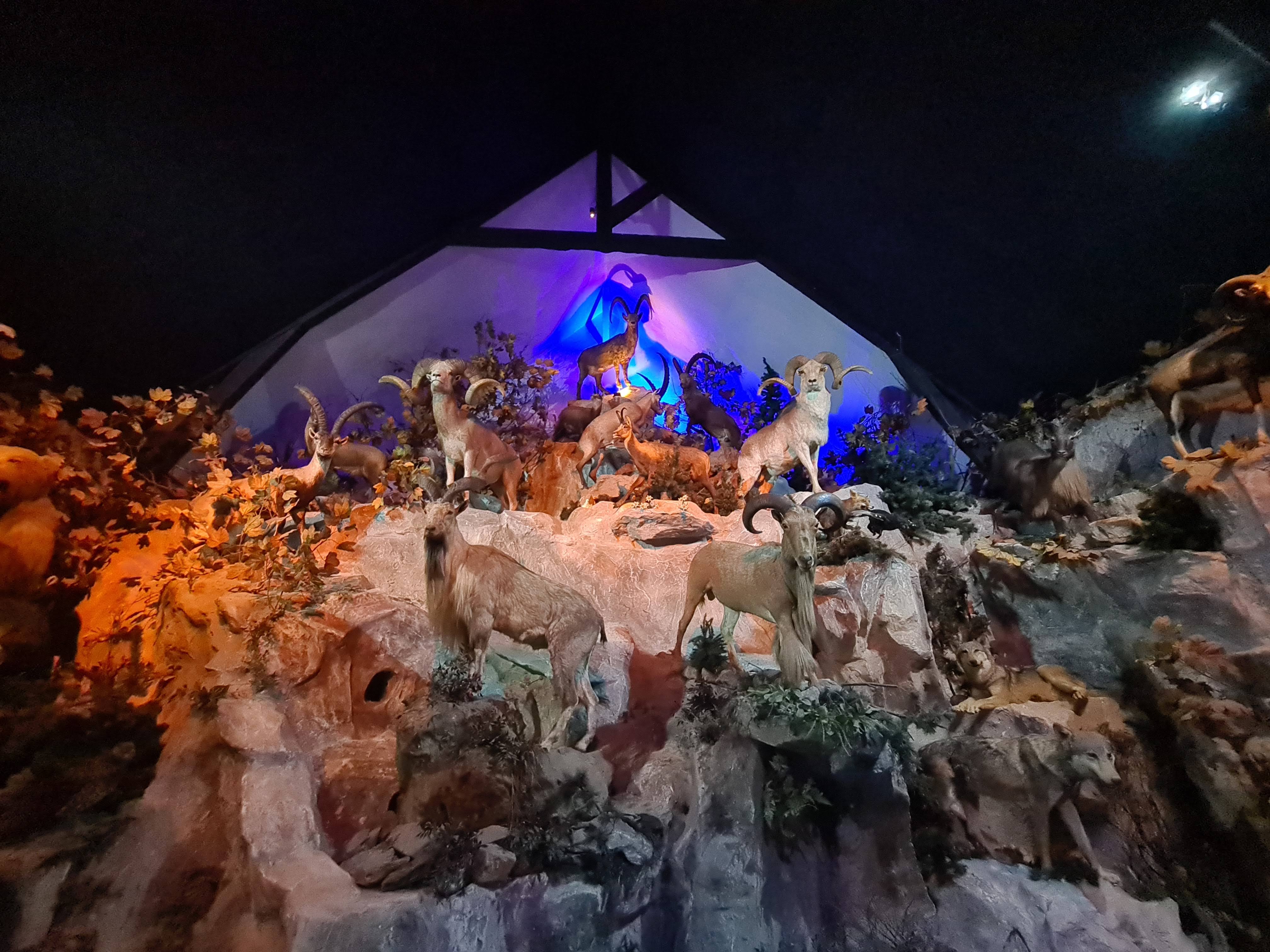 Photo n° 8 de l'avis de Antoine.u fait le 02/08/2023 à 07:13