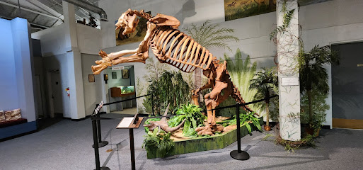 Brevard Museum of History and Natural Science
