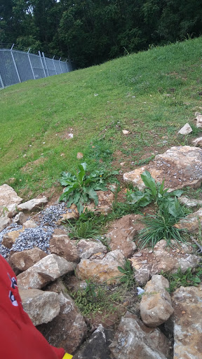 Non-Profit Organization «Harvesters - The Community Food Network», reviews and photos