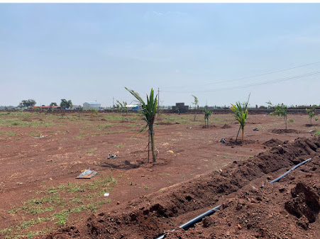 Google Maps image 14