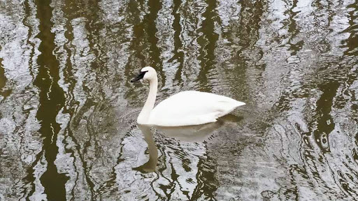 Zoo «Blank Park Zoo», reviews and photos, 7401 SW 9th St, Des Moines, IA 50315, USA