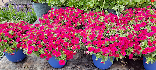 Department Store «Walmart Supercenter», reviews and photos, 6675 Business Center Dr, Highlands Ranch, CO 80130, USA