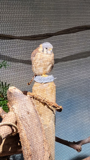 Parking Garage «SC Aquarium Garage», reviews and photos, 24 Calhoun St, Charleston, SC 29401, USA