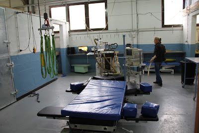 Clinique Vétérinaire Equine Valère à Vimoutiers