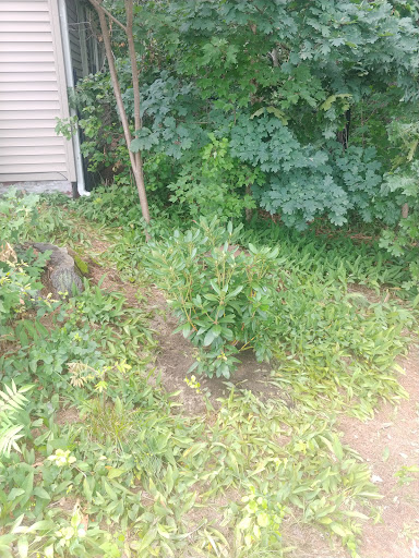 Garden Center «Sixteen Acres Garden Center», reviews and photos, 1359 Wilbraham Rd, Springfield, MA 01119, USA