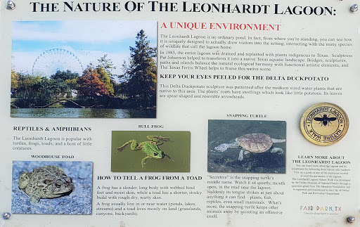 Tourist Attraction «Leonhardt Lagoon Nature Walk», reviews and photos, 1121 1st Ave, Dallas, TX 75210, USA