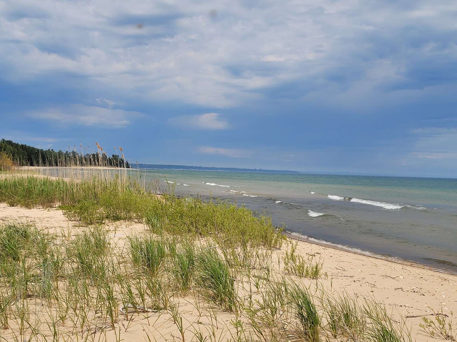 Fotografie cu Woodstar beach - locul popular printre cunoscătorii de relaxare