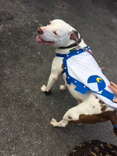 Bar «The Odditorium», reviews and photos, 1045 Haywood Rd, Asheville, NC 28806, USA